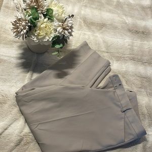 Express Editor Pants 12 SHORT